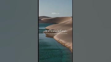 مقطع قصير من سورة الفجر | شريف مصطفى