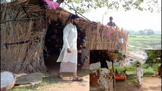 Beaut scene of village of kashmir/Daily routine in Village/Pindi Abdal/ TheVolnteerTalhaRafique