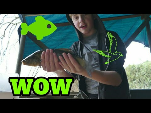 Video: How To Cook Tench Fish
