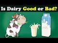Is Dairy Good or Bad?   more videos | #aumsum #kids #science #education #children