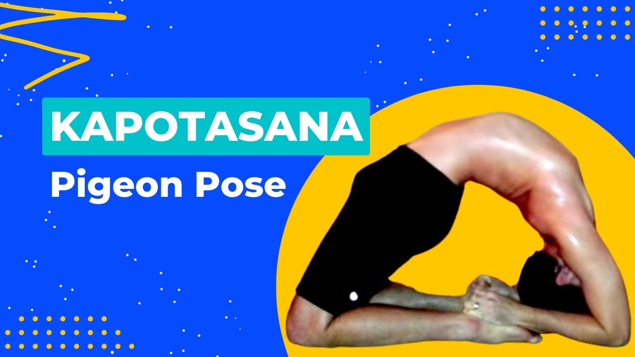Kapotasana Video Kapotasana Video