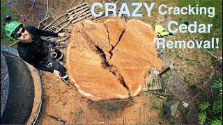 CRAZY Cracking Cedar Emergency Removal! Huge Tree starts to break apart!