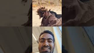 Tag A Londiyawaz Friends Kai Ne Apni Aukat Dikha Di .Saifi