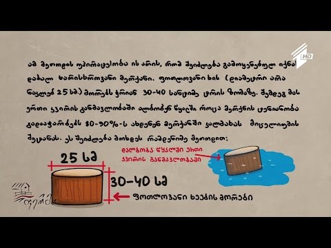 ვიდეო: რძის სოკოს სახეობები, ფოტო