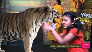 Sana Face To Face With The Tigers Of The Sundarbans