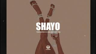 Tayc x Burna Boy x Tems x Wizkid Afroswing Type Beat 2025 'SHAYO' | Afrobeat Instrumental