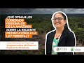 ¿Qué opina el Gobierno Regional de Amazonas sobre la modificatoria a la Ley Forestal?
