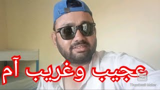 unique Mango | Rahim yar khan Mango       farm | Naeem akhtar vlog