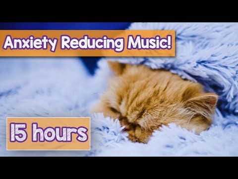 new-music-for-anxious-cats-and-kittens!-deep-relaxation-music-for-depressed-and-anxious-cats!