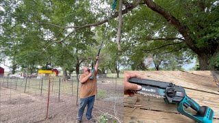 TOOL REVIEW: 2 in 1 Cordless Pole Saw \& Mini Chainsaw #SEESII