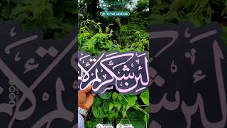 Islamic Wall DecorDiscover your StyleElevate DM for Customied Decor+91 720485333 #islamicwallart