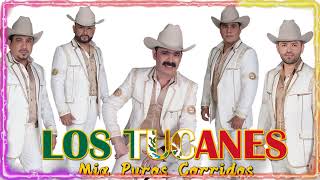 Puros Corridos Pesados Mix 2023 - Los Tucanes De Tijuana 30 Exitos