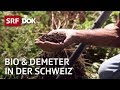 Bio und Demeter in der Schweiz – Spurensuche zu den Anfängen der Öko-Landbaus | Doku | SRF DOK
