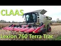 Claas Lexion 760 Terra Trac bei der Ernte von Körnermais - harvesting grain maize
