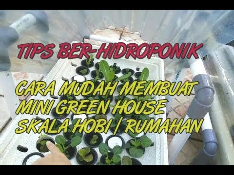 Membuat Rumah  GH Minimalis  untuk semai aman dari  angin 