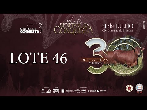 LOTE 46 CONQ 2346