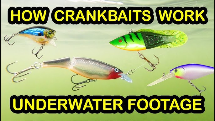 Fishing with Lures for Beginners - When to Use (Underwater Fishing