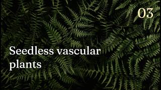 Botany 1.2 | Getting frondmogged by clavascular plants
