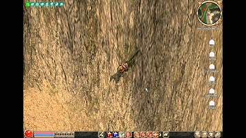 Metin2.US - High levels hacking? - Part 2