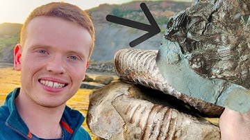 2 Day Fossil Hunt and Fossil FISH Prep!