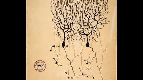 Neuroscientific | Wikipedia audio article