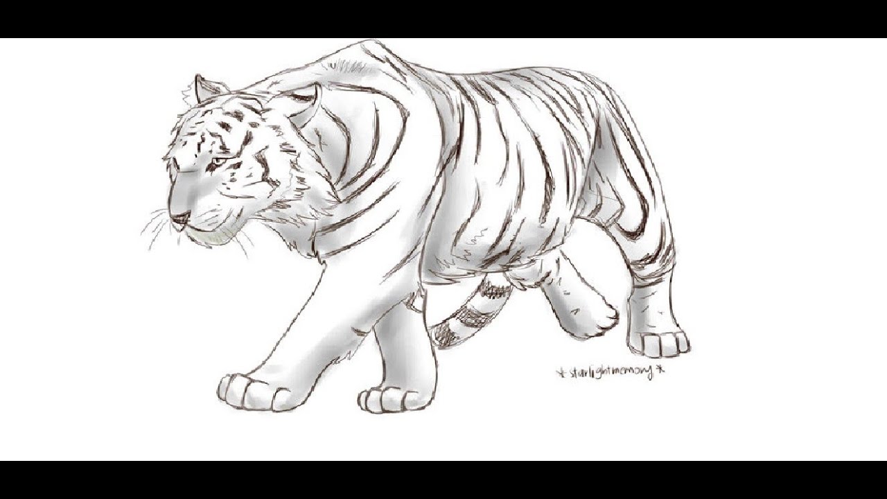 тигр нарисованный в полный рост. как нарисовать белого тигра. глаз тигра карандашом. амурский (уссурийский) тигр черно белый. тигр раскраска для детей.