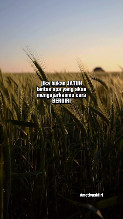#katabijak #quotes #storywa #motivasi #dj