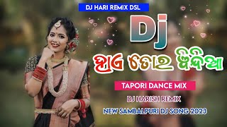 ହାଏ ତୋର ବିନ୍ଦିଆ | Hay Tor Bindiya | Tapori Dance Mix | Dj Hari Remix Dsl