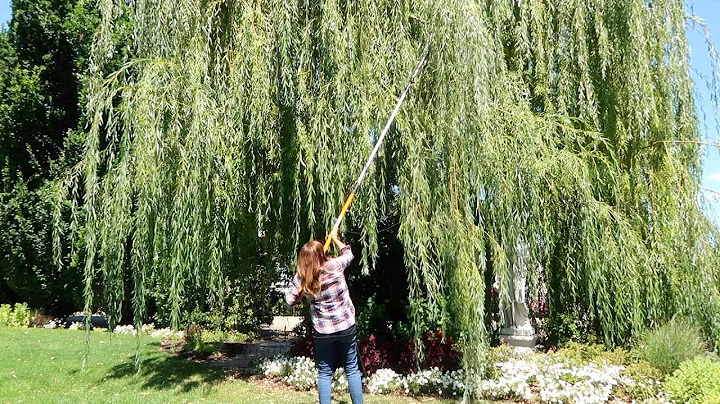 Flower Bed Refresh, Willow Pruning, & Still Planting Annuals! 🌿💚👏// Garden Answer - DayDayNews