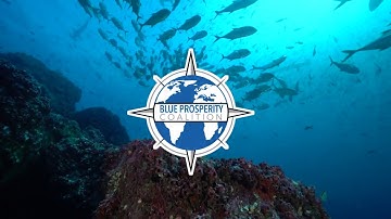 Blue Prosperity