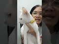 Nay and grandson Paul🙋 is live!