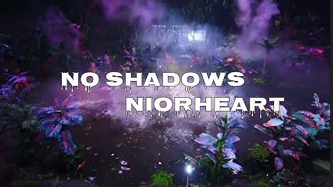 No shadows | niorheart official debut |