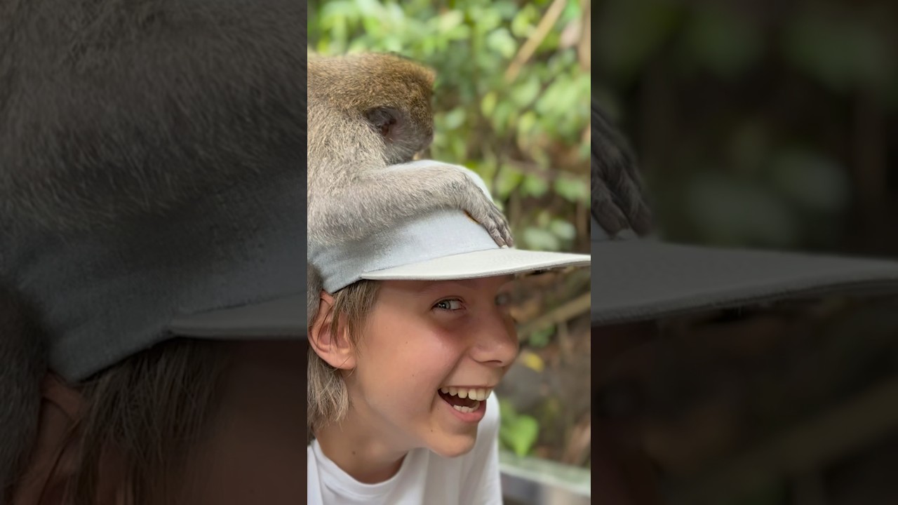 Some #monkey business to my ​#yishama hat! Furry bandits dig as much as I do #handpanplayer #bali