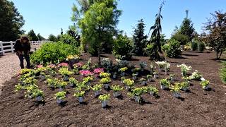Tulip/Daffodil Bulb Storage Update, Seeding Zinnias, Sunflowers & Cosmos + Annual Planting! 🙌🌸🌿