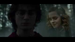 Gifts and Curses - Harry and Hermione