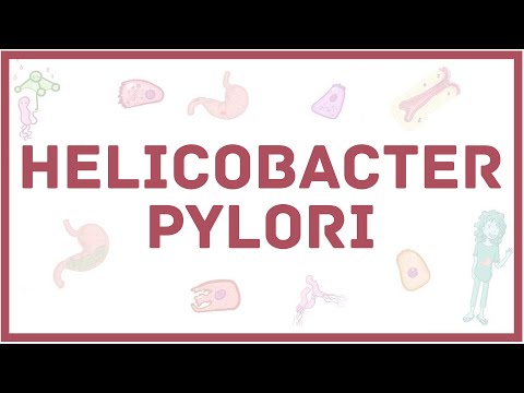 Helicobacter pylori - хеликобактер - симптомы, диагностика, лечение, микробиология