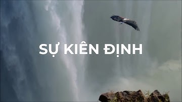 8 đặc tính đại bàng | IEC