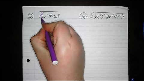 10. Grade 8 Algebra Revision: Squares, square roots, cubes, and cube roots of algebraic expressions