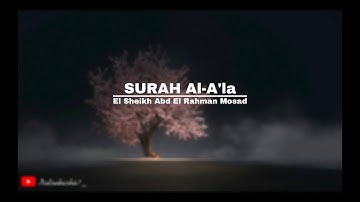 Heal your soul by listening to surah Al-A'la |سورة الأعلى تلاوة رائعة بصوت القارئ عبدالرحمن مسعد