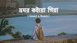 ভ্রমর কইয়ো গিয়া [ Slowed & Reverb ] Bhromor Lofi // Surojit // Radharaman Dutta // Zihans Lofi