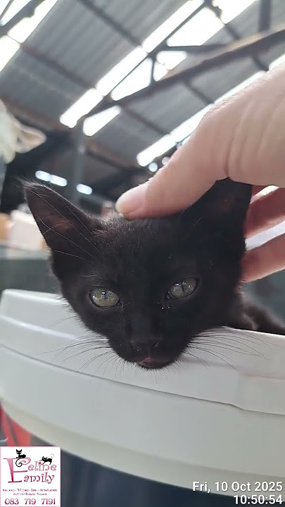 20251010_105038. Friday.