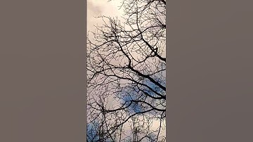 سورة الفاتحة،🤲بصوت الشيخ القارئ عبد العزيز سحيم،🌼