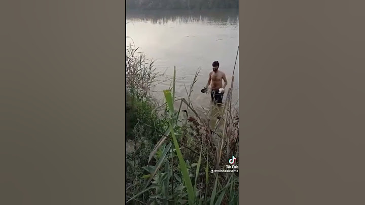 #Duck hunting in fish farm #water is so cool #City Mandi baha udin Lasoori klaan #waterfowl hunt