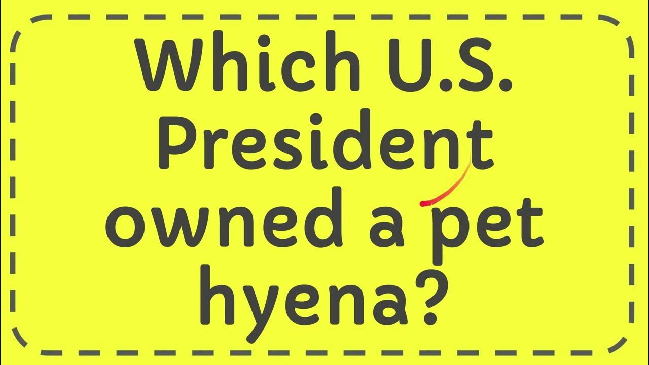 Which U S President owned a pet hyena? - YouTube