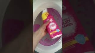 What's that Pink Stuff in my Toilet Bowl? - TheGoodWaterGuy