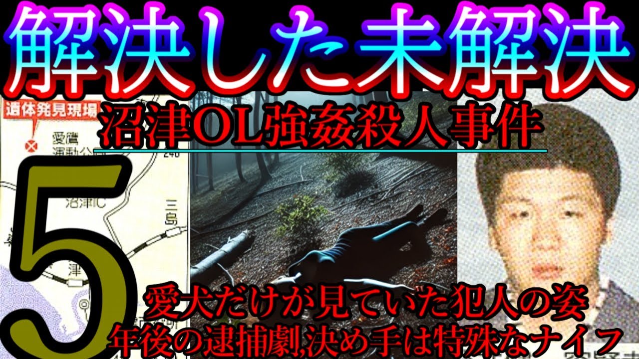 【解決した未解決事件】沼津OL強姦殺人事件【5年後に急展開。きっかけは凶器となった特殊な刃物だった】