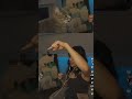 that's a good kitty right there | #mickysinner auf #Twitch