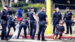 Santa Monica Police Swiftly Apprehend Suspect in Altercation with Minor Injuries and Dog Wounds