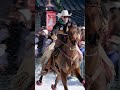 Skijoring