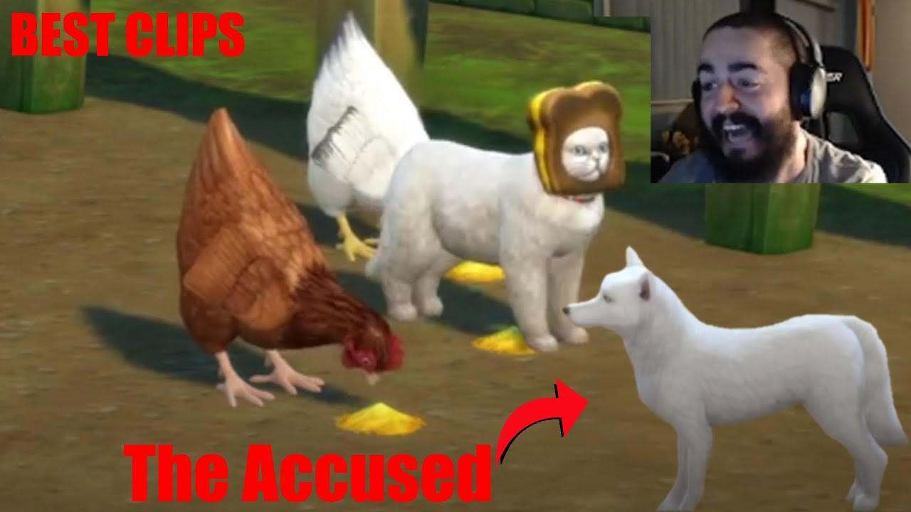(Best Clips) FOXES ATE MY CHICKEN?! The Sims 4 Lets Play YouTube